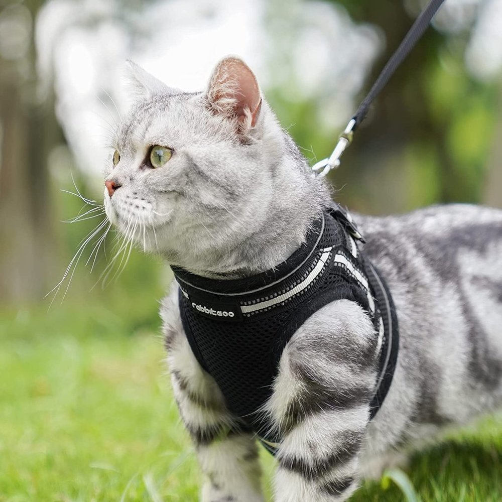 Cat Harness and Leash Set for Walking, Escape Proof #2